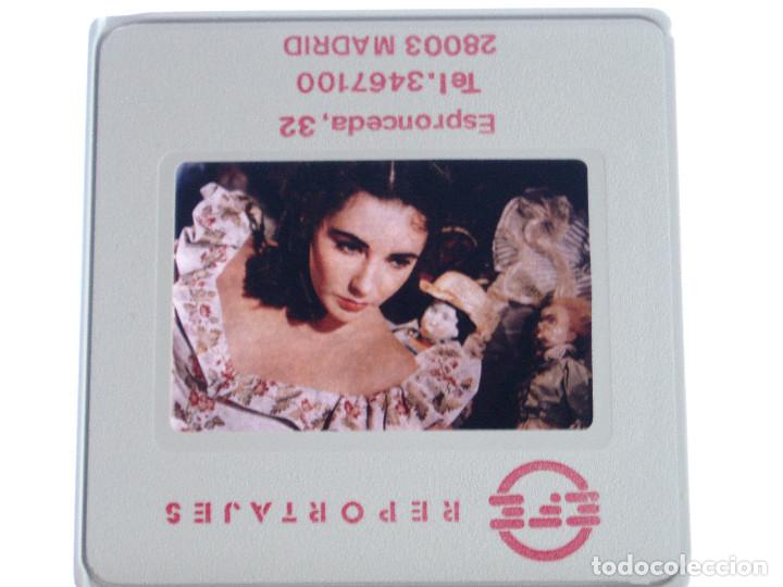 Cine: DIAPOSITIVA LIZ TAYLOR. PRENSA. AGENCIA EFE. 5X5. EL ARBOL DE LA VIDA. DIVA. ELIZABETH