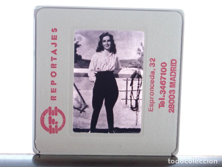 Cine: DIAPOSITIVA DE PRENSA. AGENCIA EFE. 5X5 RAREZA. ELIZABETH TAYLOR. LIZ. FILM NATIONAL VELVET. DIVA
