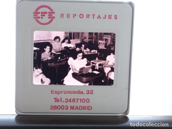 Cine: DIAPOSITIVA DE PRENSA. AGENCIA EFE. 5X5 RAREZA. ELIZABETH TAYLOR. LIZ. SCHOOL. DIVA