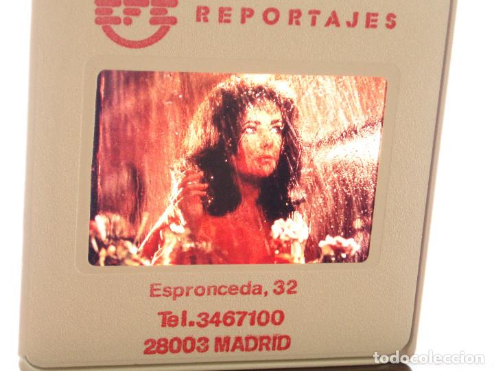 Cine: DIAPOSITIVA DE PRENSA. AGENCIA EFE. 5X5 RAREZA. ELIZABETH TAYLOR. LIZ. DIVA.