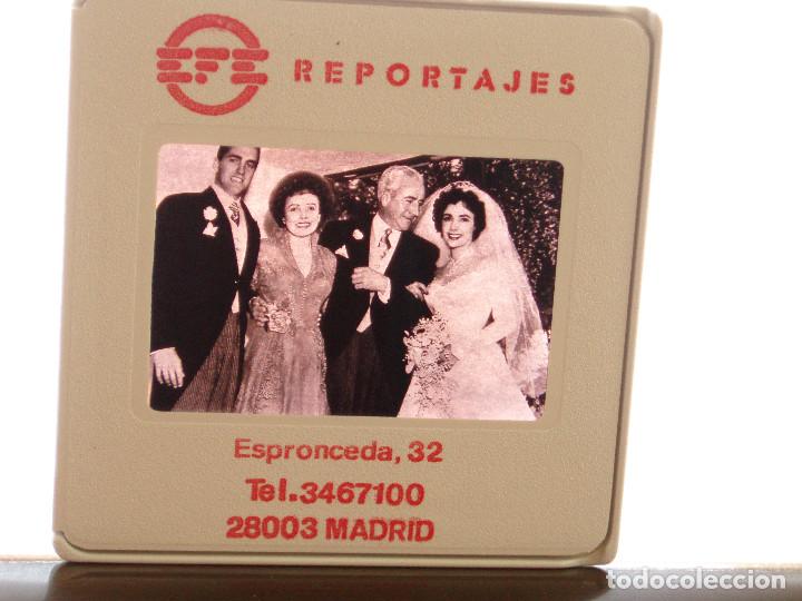 Cine: DIAPOSITIVA DE PRENSA. ELIZABETH TAYLOR. LIZ. DIVA. 1 &ordf;BODA. CON SUS PADRES Y HERMANOS. 18 A&Ntilde;OS