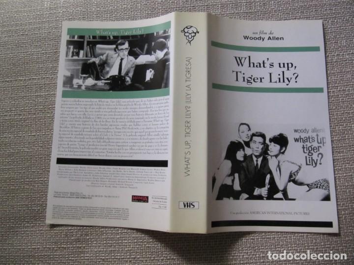 Cine: PORTADA CARATULA VHS LILY LA TIGRESA WOODY ALLEN.