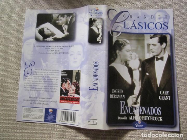 Cine: PORTADA CARATULA VHS ENCADENADOS NOTORIUS ALFRED HITCHCOCK INGRID BERGMAN CARY GRANT.