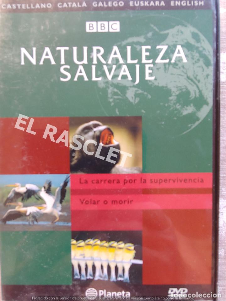 Kino: NATURALEZA SALBAJE - LA CARRERA POR LA SUPERVIVENCIA - VOLAR O MORIR -EDITORIAL PLANETA