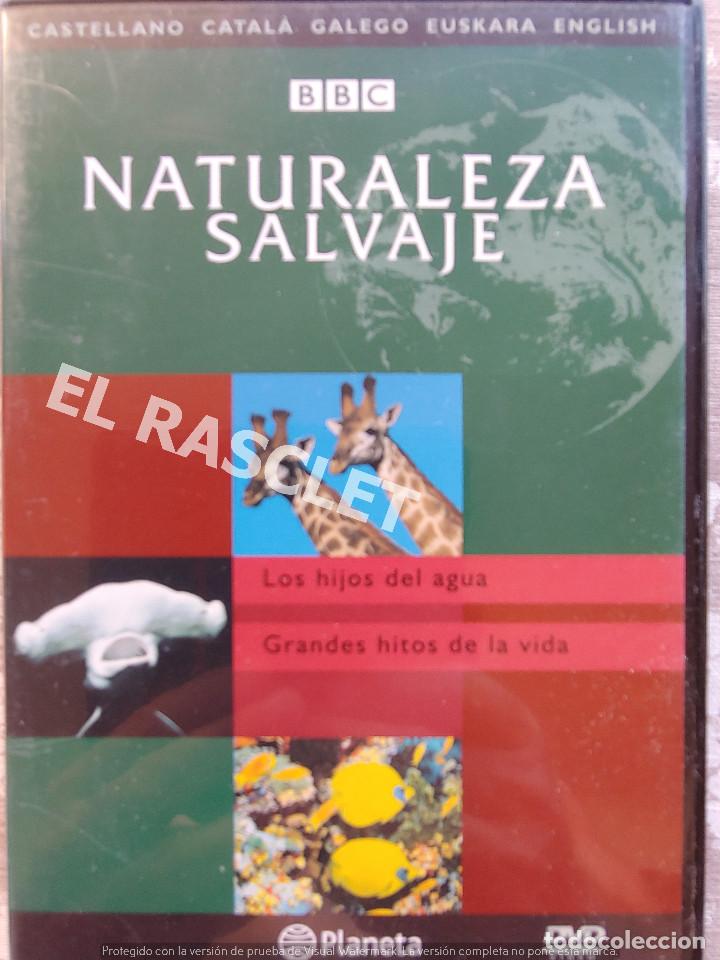 Kino: NATURALEZA SALBAJE - LOS HIJOS DEL AGUA - GRANDES HITOS DE LA VIDA -EDITORIAL PLANETA