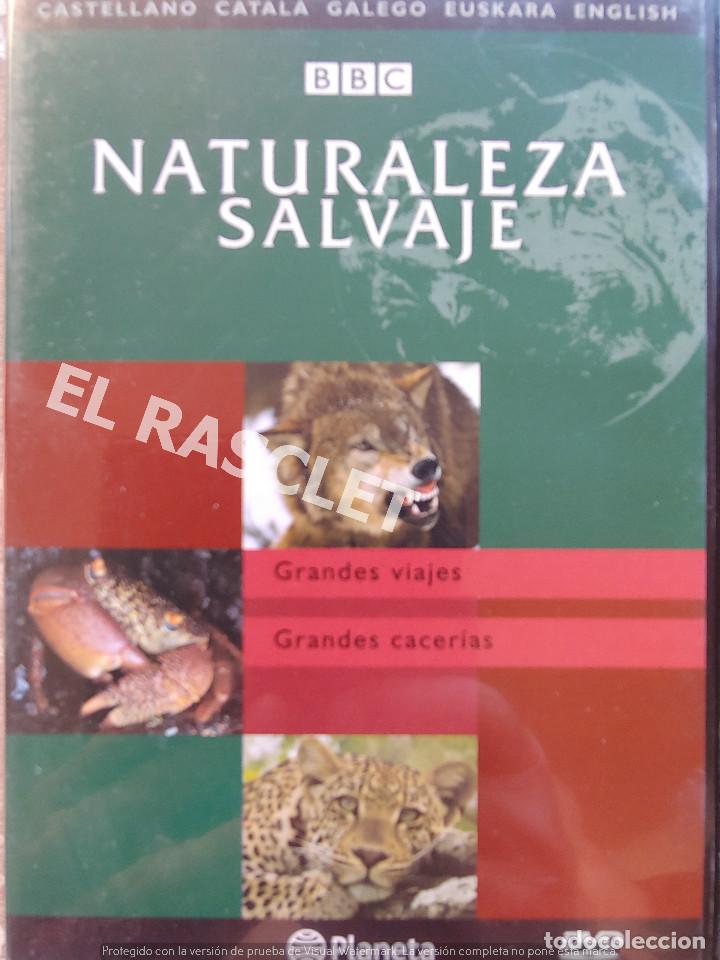 Kino: NATURALEZA SALBAJE -GRANDES VIAJES - GRANDES CACERIAS -EDITORIAL PLANETA