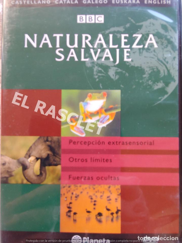 Kino: NATURALEZA SALBAJE -PERCEPCION EXTRASENSORIAL - OTROS LIMITES - FUERZAS OCULTAS -EDITORIAL PLANETA