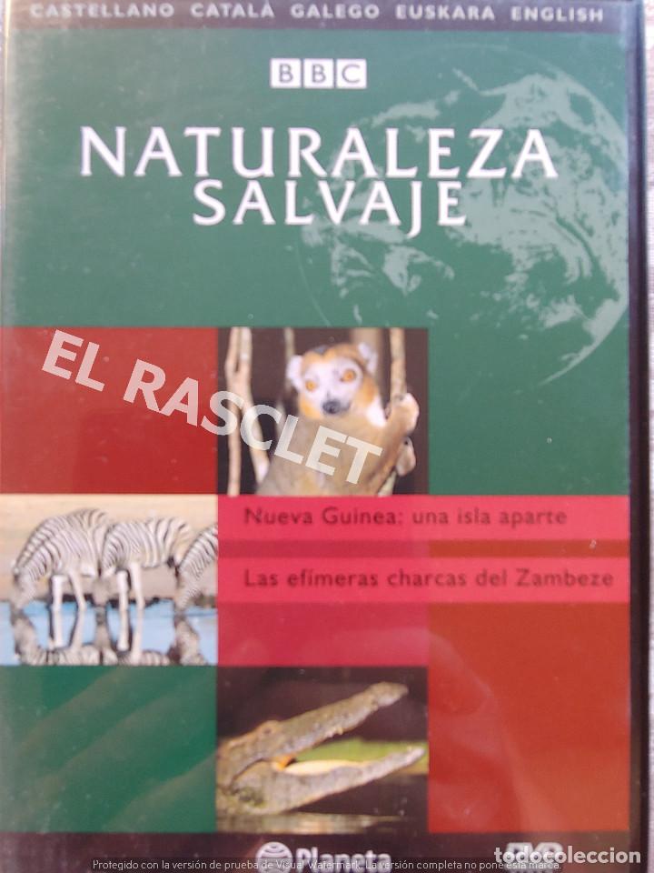 Kino: NATURALEZA SALBAJE -NUEVA GUINEA :UNA ISLA APARTE - LAS EFIMERAS CHARCASDEL ZAMBE -EDITORIAL PLANETA
