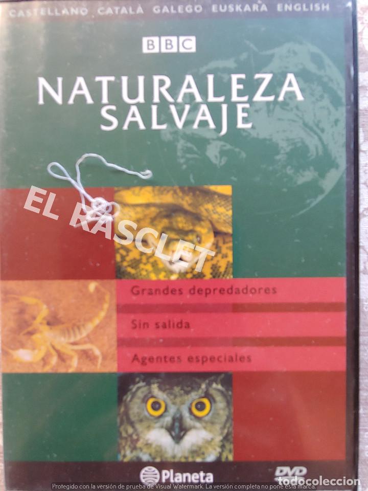 Kino: NATURALEZA SALBAJE -GRANDES DEPREDADORES -SIN SALIDA - AGENTES ESPECIALES -EDITORIAL PLANETA