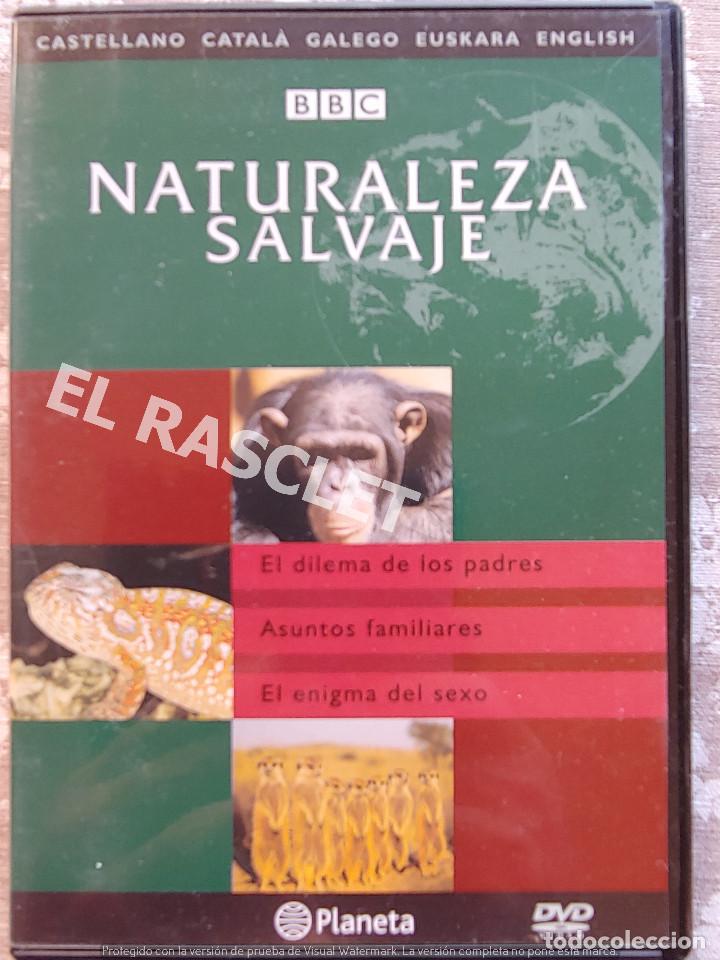 Kino: NATURALEZA SALBAJE -EL DILEMA DE LOS PADRES- ASUNTOS FAMILIARES - EL ENIGMA DEL SEXO-E. PLANETA