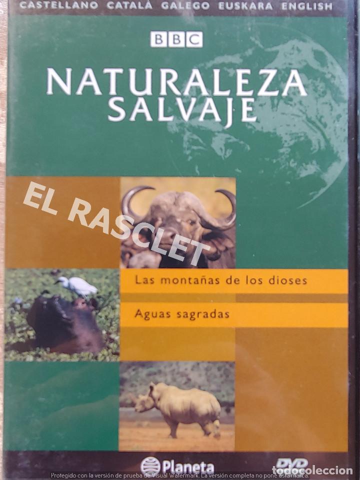 Kino: NATURALEZA SALBAJE -LAS MONTA&Ntilde;AS DE LOS DIOSES-AGUAS SAGRADAS -EDITORIAL PLANETA