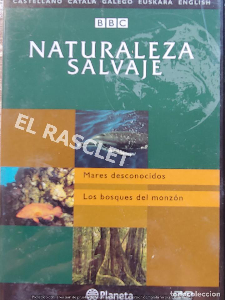 Kino: NATURALEZA SALBAJE -MARES DESCONOCIDOS- LOS BOSQUES DEL MONZ&Oacute;N -EDITORIAL PLANETA