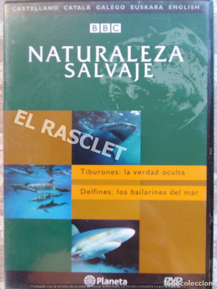 Kino: NATURALEZA SALBAJE -TIBURONES LA VERDAD OCULTA- DELFINES LOS BAILARINOS DEL MAR-EDITORIAL PLANETA
