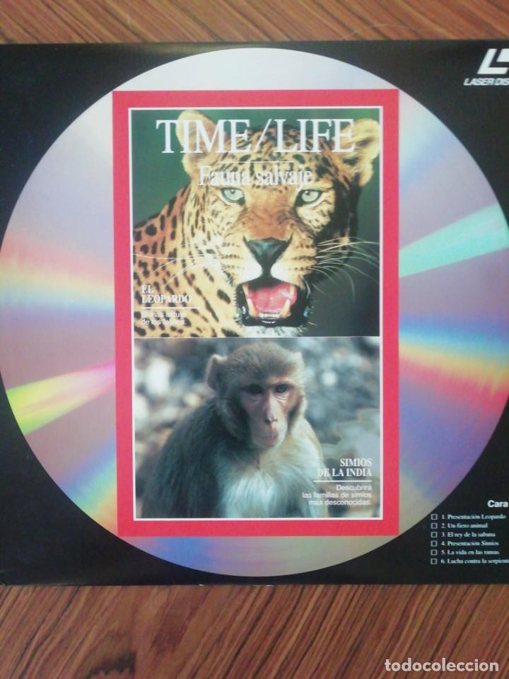 Cine: Colección Time / Life. Fauna Salvaje. Laserdisc - Foto 2 - 216492730