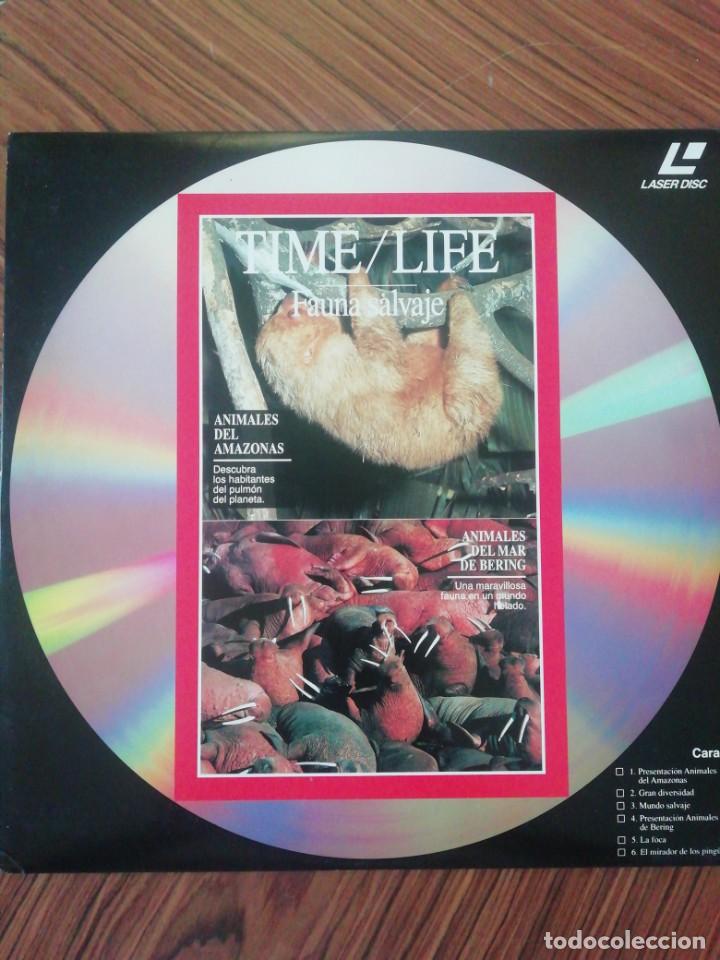 Cine: Colección Time / Life. Fauna Salvaje. Laserdisc - Foto 3 - 216492730