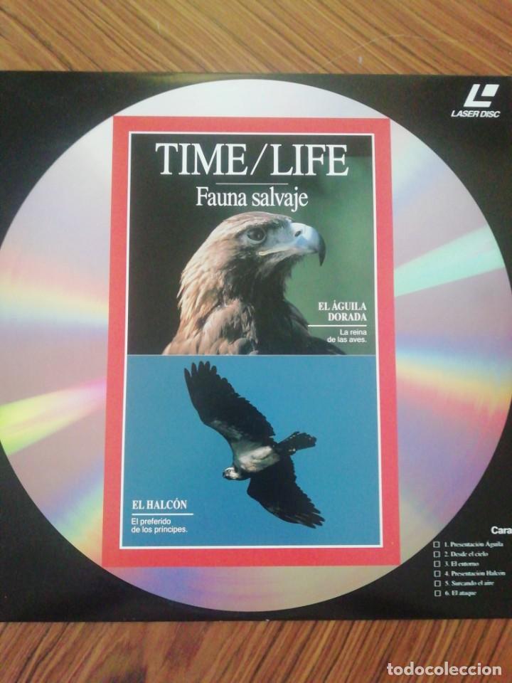 Cine: Colección Time / Life. Fauna Salvaje. Laserdisc - Foto 4 - 216492730
