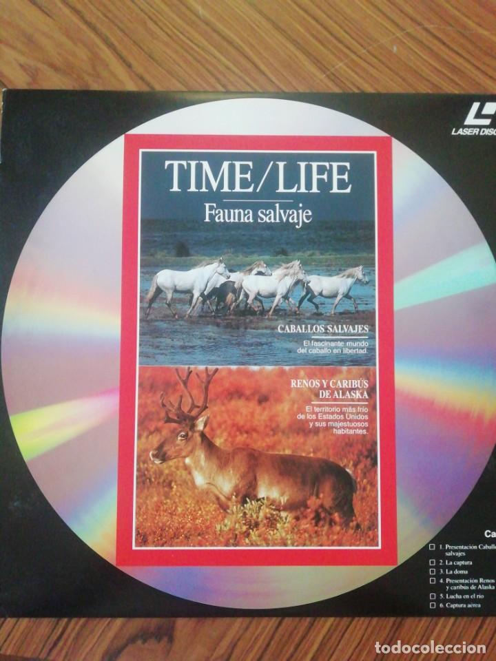 Cine: Colección Time / Life. Fauna Salvaje. Laserdisc - Foto 5 - 216492730