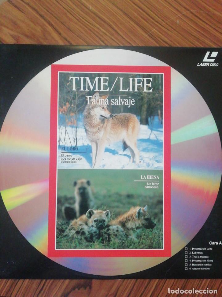 Cine: Colección Time / Life. Fauna Salvaje. Laserdisc - Foto 7 - 216492730