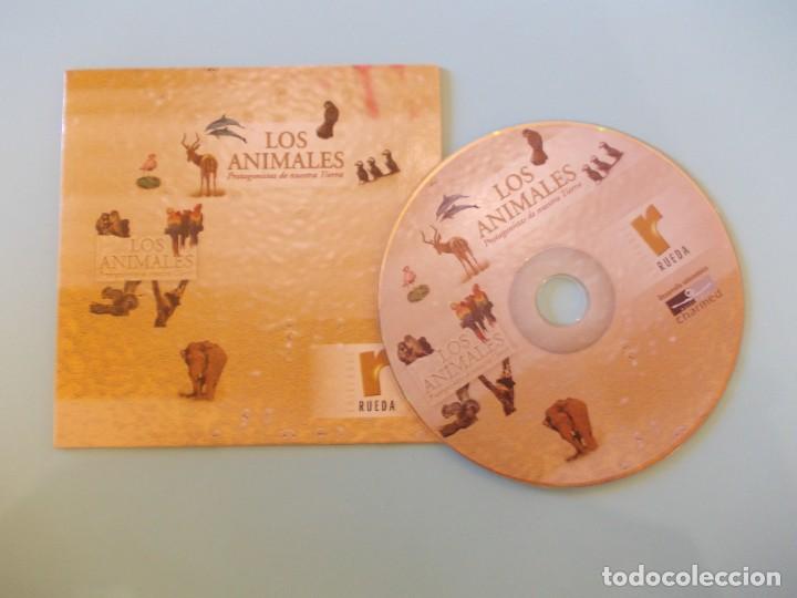 Cine: Cd- Rom documental Protagonistas de Nuestra Tierra Animales Ediciones Rueda - Foto 1