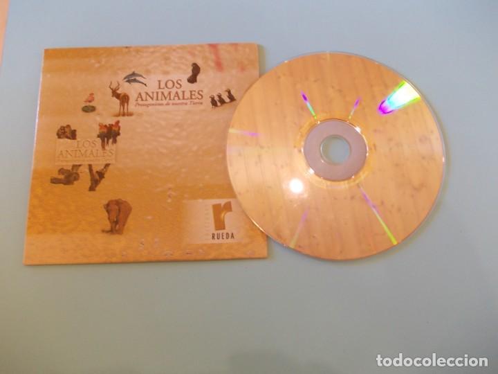 Cine: Cd- Rom documental Protagonistas de Nuestra Tierra Animales Ediciones Rueda - Foto 2
