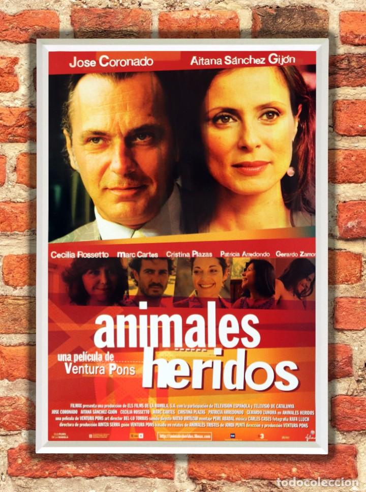 Cinema: Cuadro Animales heridos pel&iacute;cula