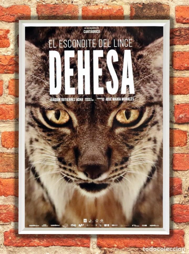 Cine: Cuadro El escondite del lince Dehesa pel&iacute;cula