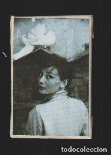 IMAN ARTESANAL DIVAS 3