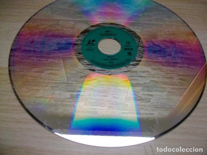 Cine: LOS CACHORROS DOCUMENTAL DE LA BBC en LASER DISC - Foto 1
