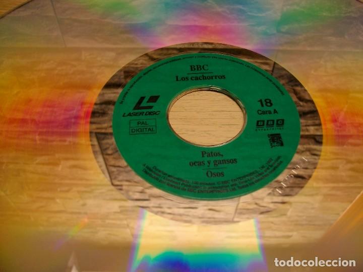 Cine: LOS CACHORROS DOCUMENTAL DE LA BBC en LASER DISC - Foto 2
