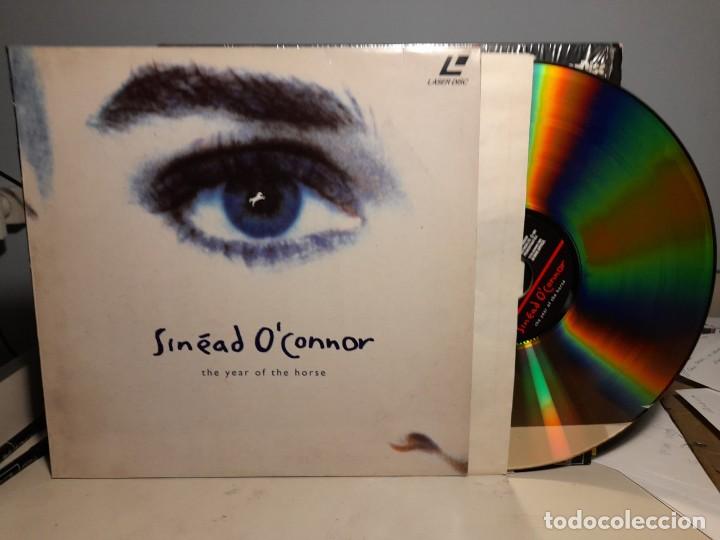 Cine: LASER DISC SINEAD O&acute;CONNOR : THE YEAR OF THE HORSE ( CONCIERTOS EN BRUSELAS Y ROTTERDAM )