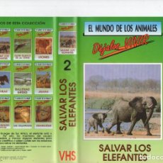 Cine: EL MUNDO DE LOS ANIMALES DEJALOS VIVIR SALVAR LOS ELEFANTES