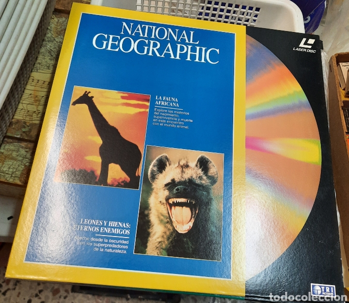 national geographic. la fauna africana / leones - Buy Other cinema  collectibles on todocoleccion