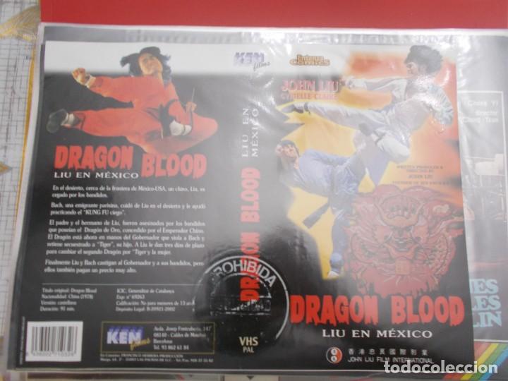 Kino: DRAGON BLOOD (SOLO CARATULA ORIGINAL)