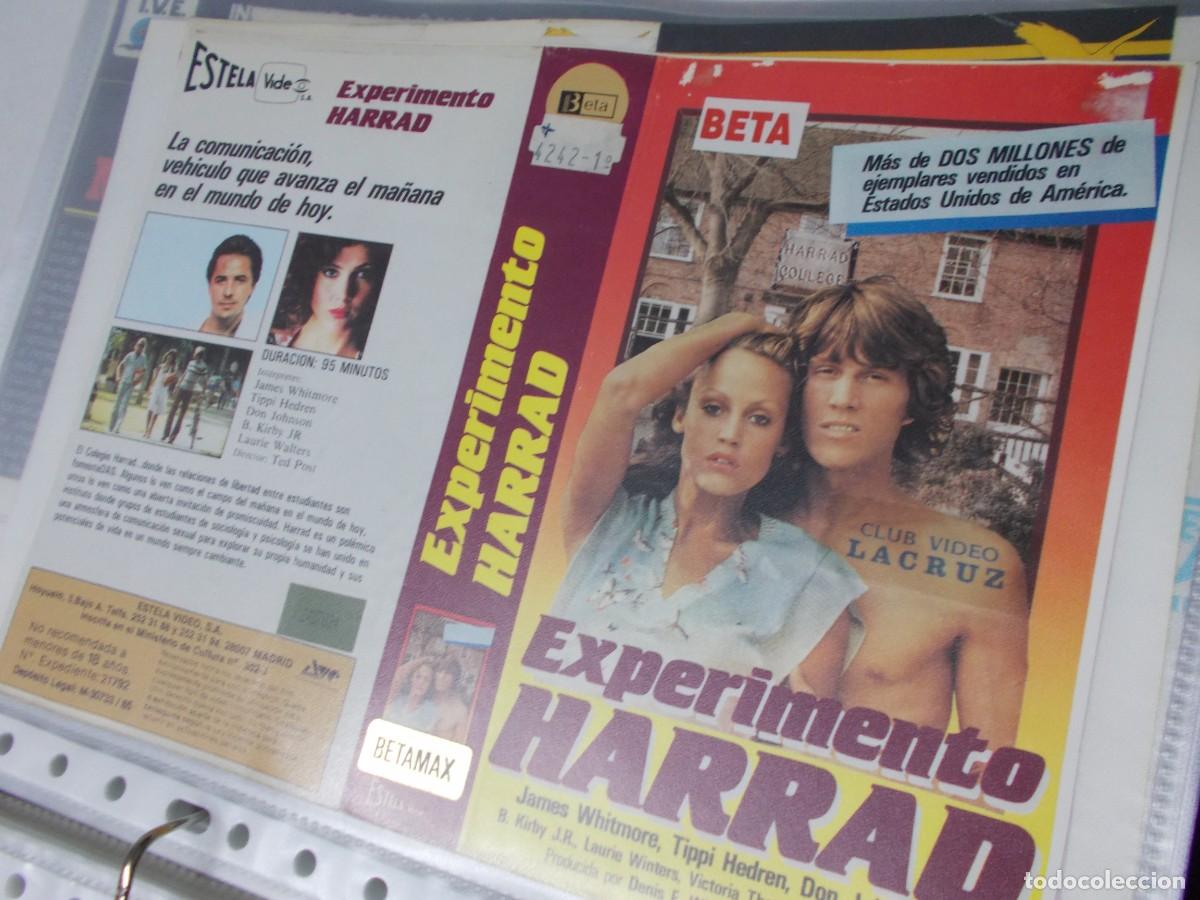 Cinema: EXPERIMENTO HARRAD &acute;CARATULA ORIGINAL DE VIDEO CLUB &acute;SOLO CARATULA &acute;''''