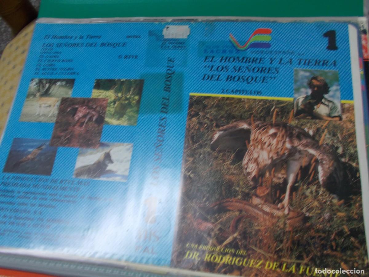 Kino: EL HOMBRE Y LA TIERRA &uml;&uml;LOS SE&Ntilde;ORES DEL BOSQUE&uml;&uml;