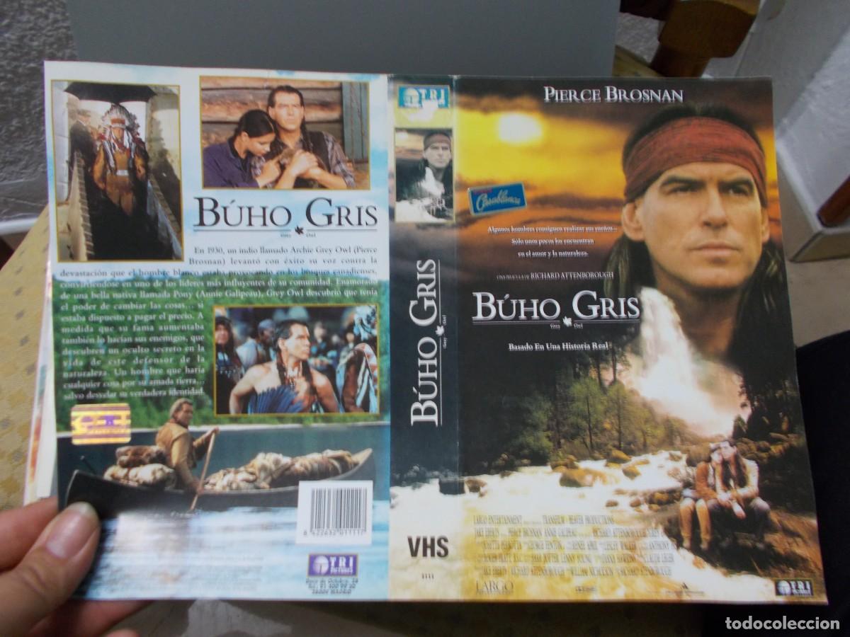 Cinema: BUHO GRIS CAJA GRANDE ''''CARATULA ORIGINAL DE VIDEO CLUB ''''SOLO CARATULA''''