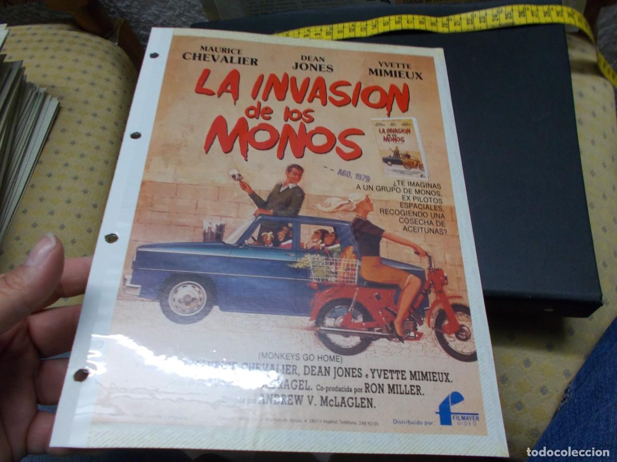 Cin&eacute;ma: LA INVASION DE LOS MONOS FOLIO