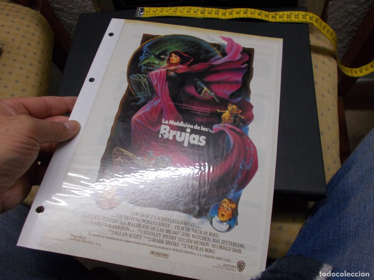 Kino: LA MALDICION DE LAS BRUJAS TAMA&Ntilde;O FOLIO