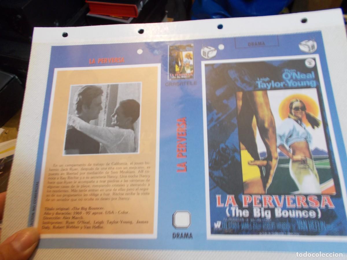 Cinema: LA PERVERSA ,SOLO CARATULA CARATULA COMERCIAL MAS FOLIO