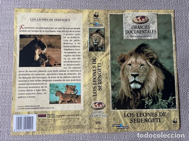 portada caratula vhs documental los leones del - Compra venta en  todocoleccion
