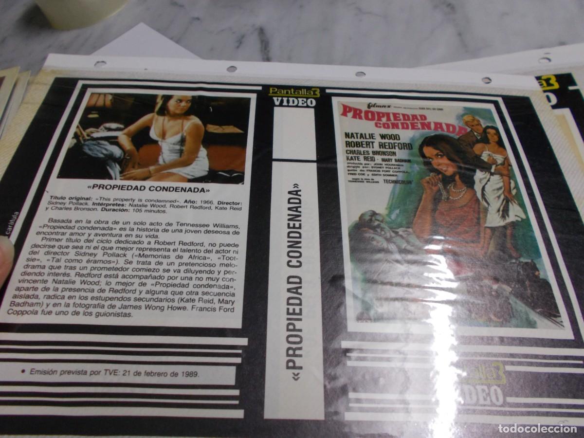 Cinema: PROPIEDAD CONDENADA ,,,CARATULA COMERCIAL A&Ntilde;OS 80 90 SOLO CARATULA ,,