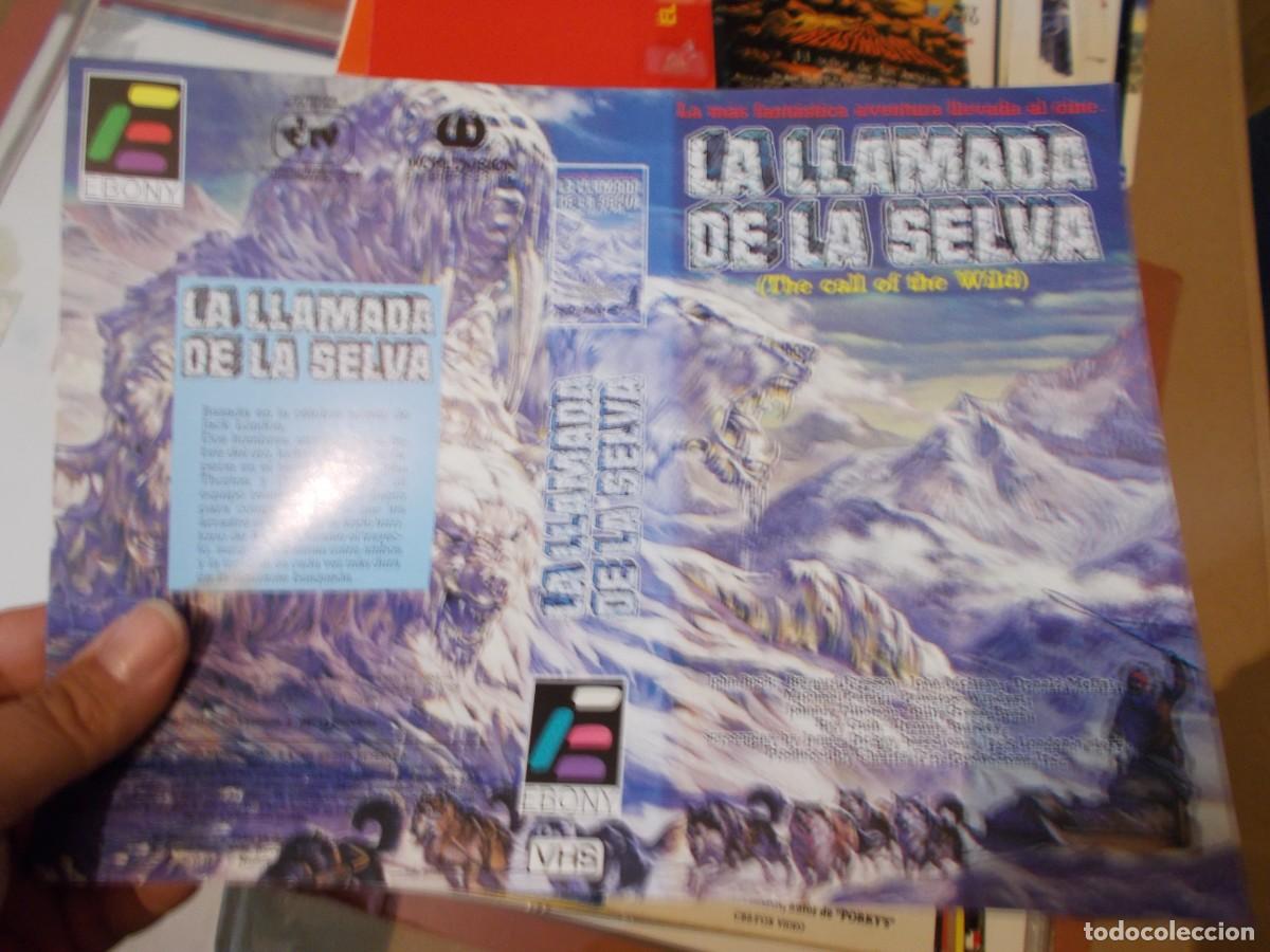 Cinema: LA LLAMADA DE LA SELVA CARATULA ORIGINAL PROCEDENTE DE VIDEO CLUB SOLO CARATULA