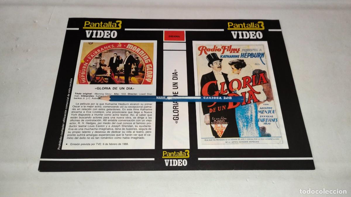 Cinema: CAR&Aacute;TULA VHS &bull; GLORIA DE UN D&Iacute;A (LOWELL SHERMAN)