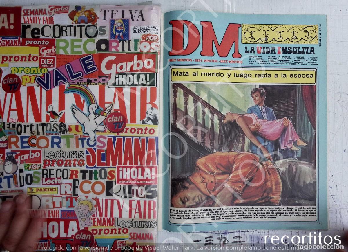 Kino: LA VIDA INSOLITA