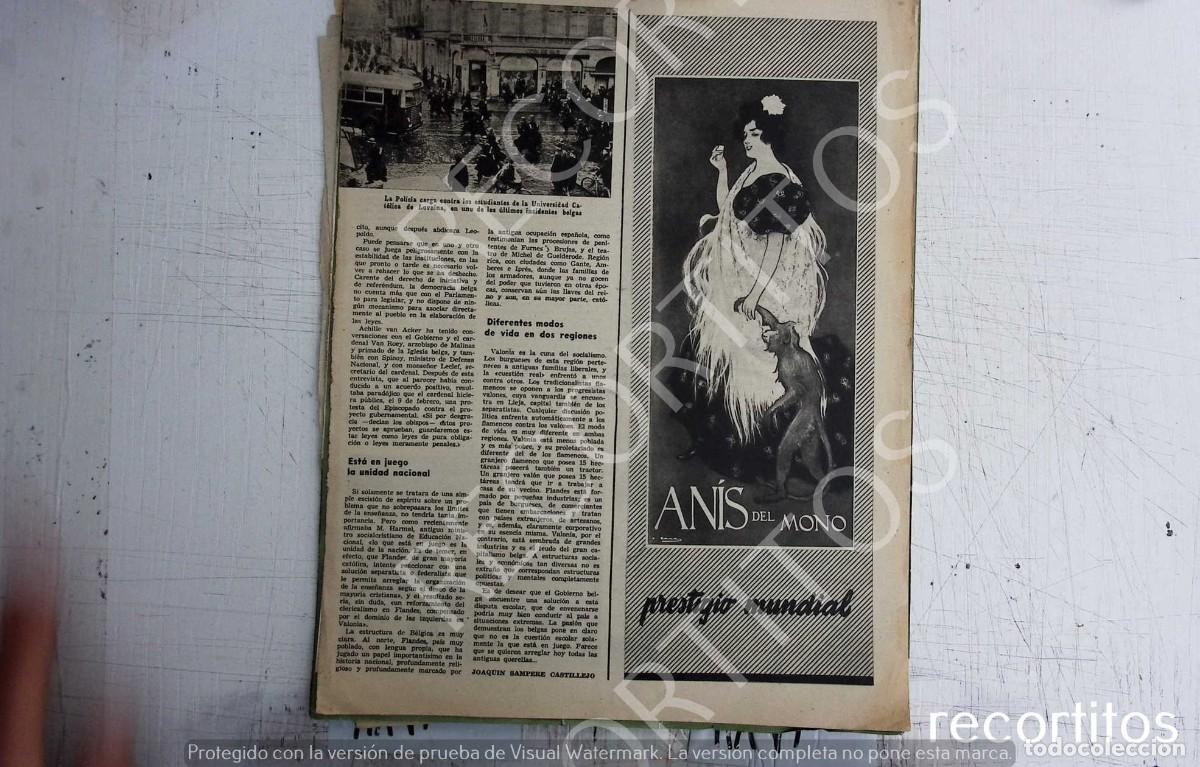 Cine: ANIS DEL MONO - Foto 1