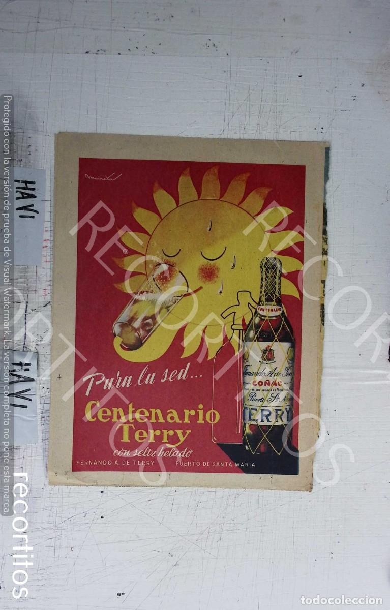 Cinema: TERRY CENTENARIO ANUNCIO PUBLICIDAD