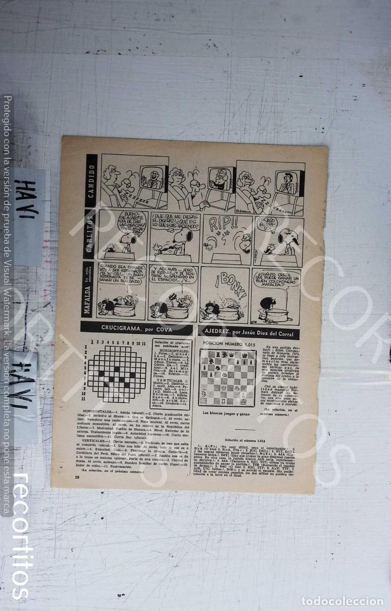 Cine: SNOOPY MAFALDA CANDIDO - Foto 1