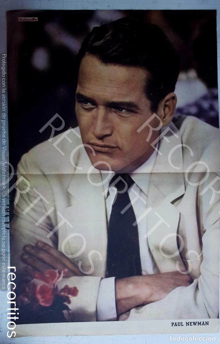 Cine: PAUL NEWMAN POSTER - Foto 1