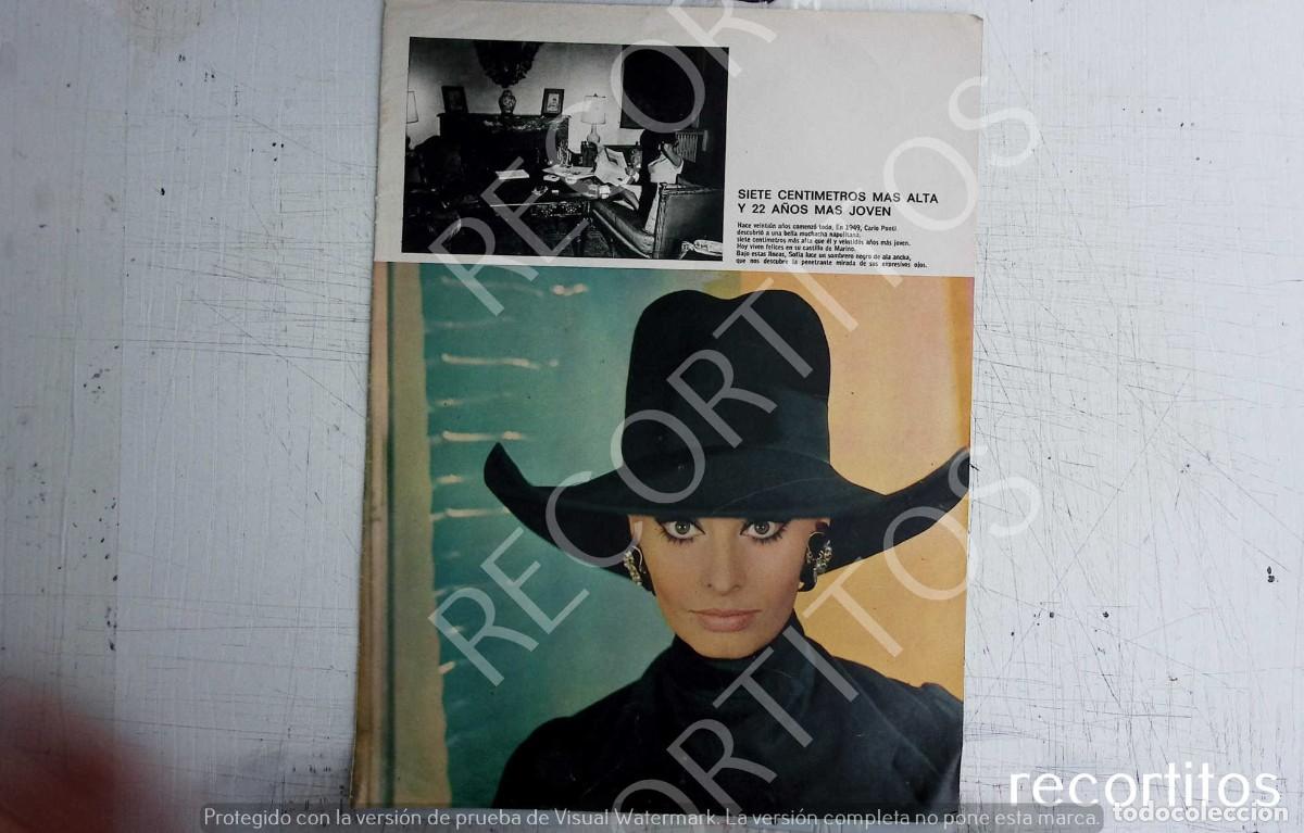 Cine: SOFIA LOREN - Foto 3