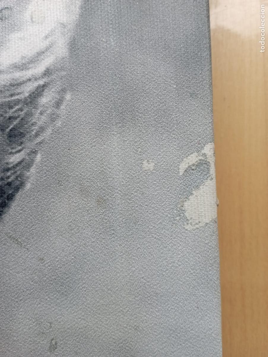 Cine: PLANCHA VINILO MADERA DE MARILYN MONROE - Foto 5